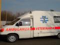 Servizio di ambulanza veterinaria